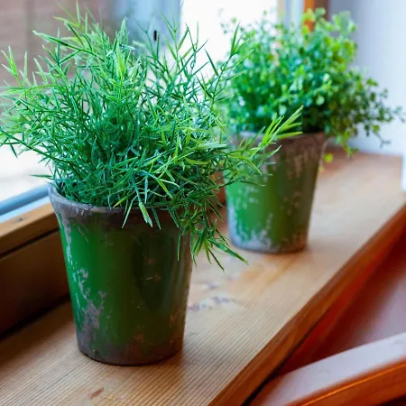 Hébergement de vacances In Oetztal Near Arena Längenfeld